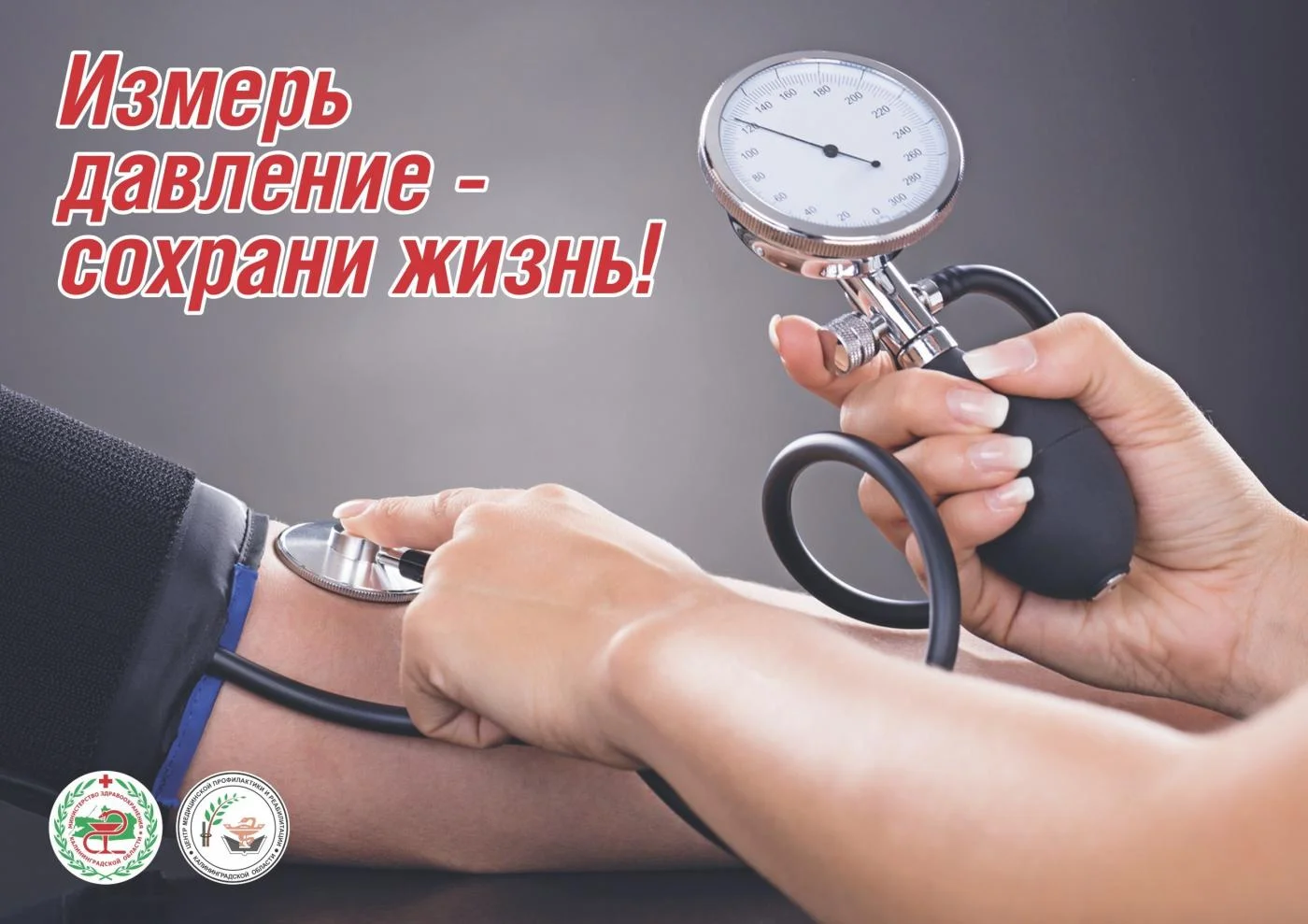 Факторы риска сердечно-сосудистых заболеваний. Основные правила здорового сердца.