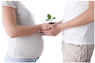 Проведение встреч граждан по вопросам репродуктивного здоровья с федеральными экспертами Совета при Правительстве Российской Федерации по вопросам попечительства в социальной сфере.