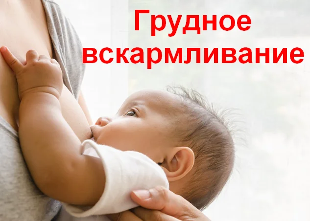 Грудное вскармливание.