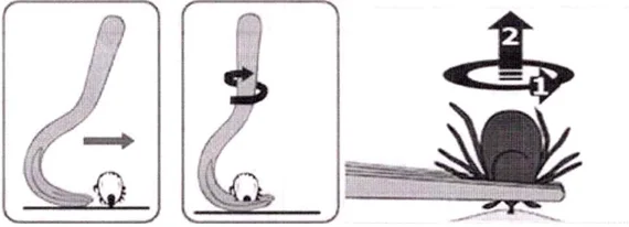 Снимок экрана (185).png